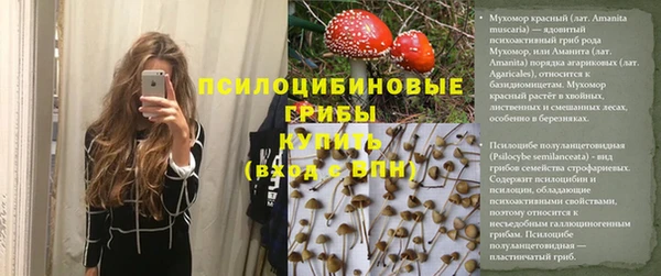 прущие крисы Краснослободск