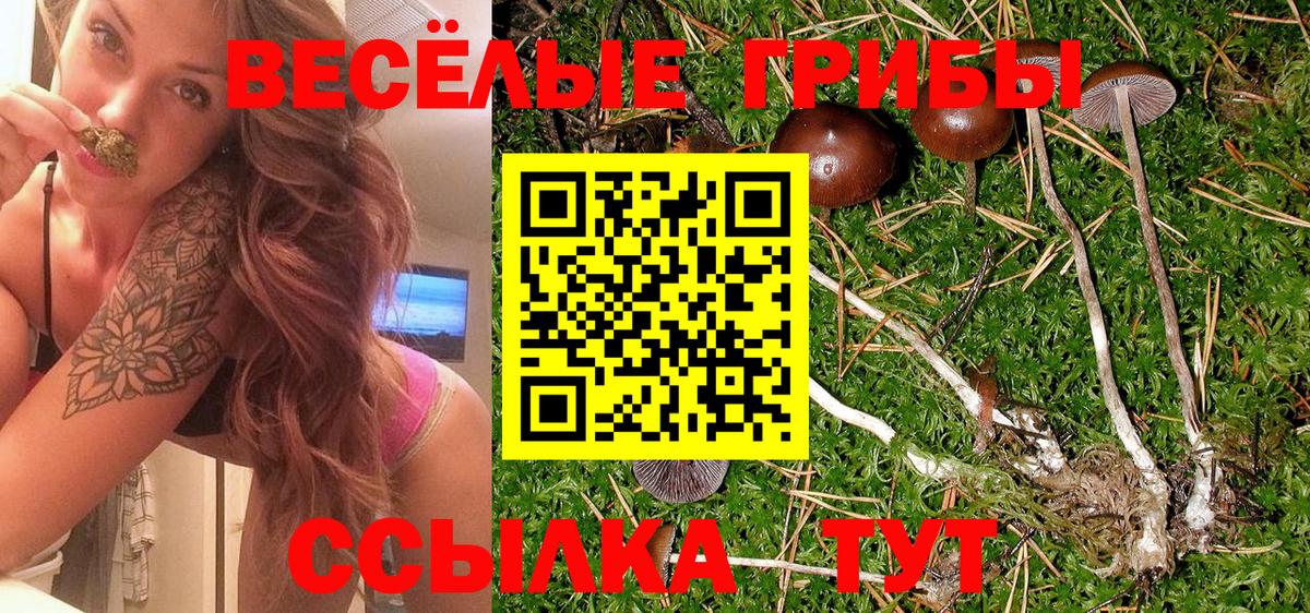 Галлюциногенные грибы мухоморы  Галлюциногенные грибы ЛСД  Заринск  Вход с VPN 
