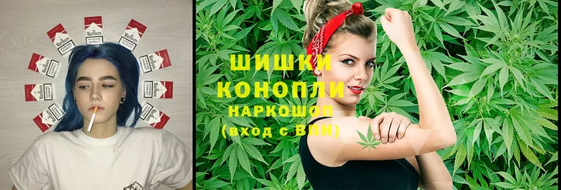 закладки  Заринск  Шишки марихуана THC 21% 